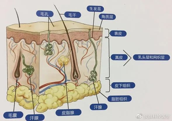 毛孔太粗大？办法来了，轻松搞定