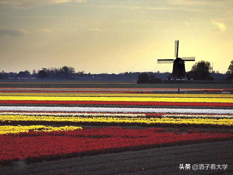 它是国内第一，欧洲三强，世界前列的管理学院！幸福国度的名校
