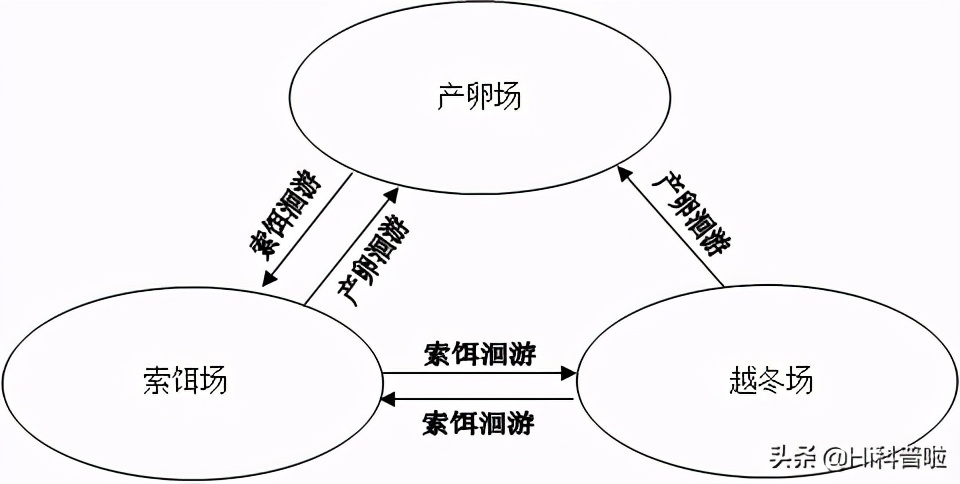 中美第一大坝比较，美国胡佛大坝在三峡大坝面前，真是小巫见大巫