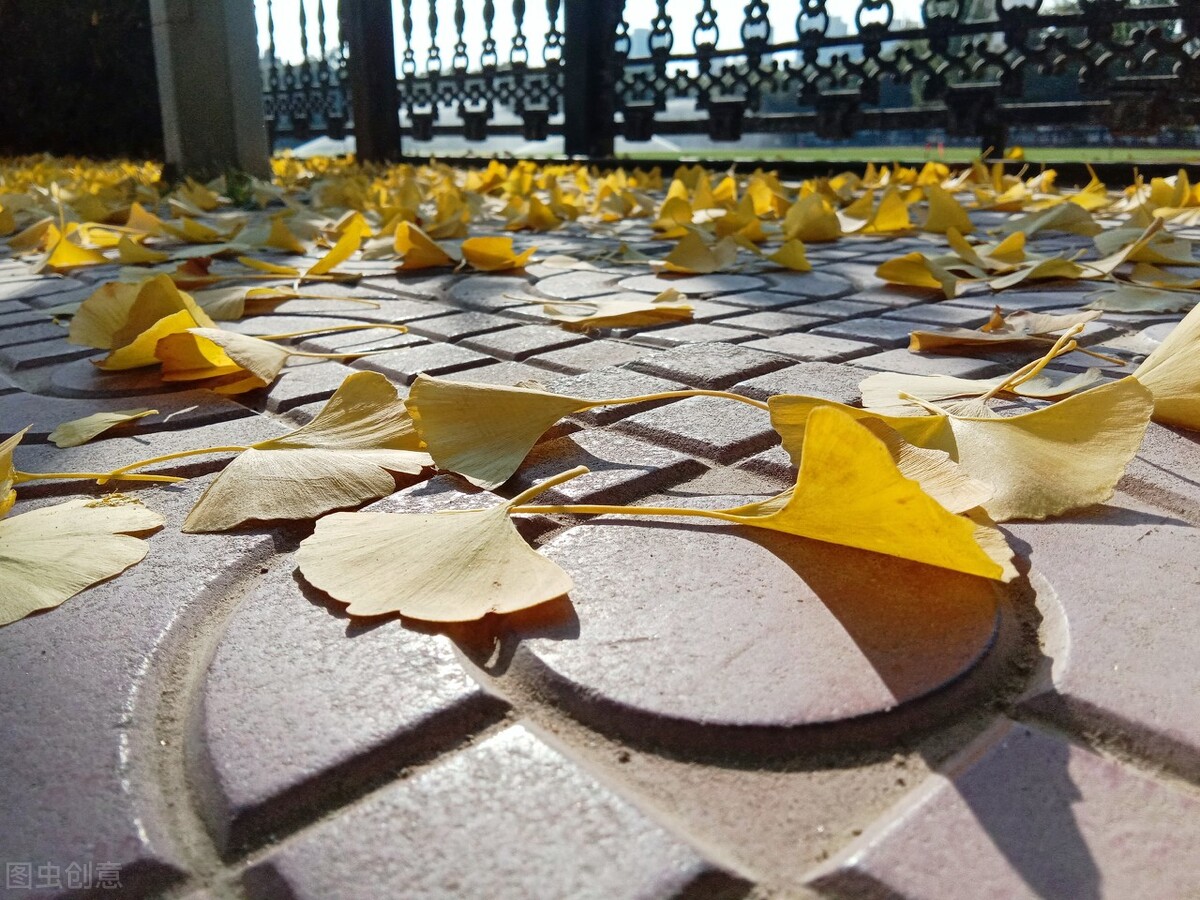 大学生考教师资格证，必须知道的5大问题，早知道早准备