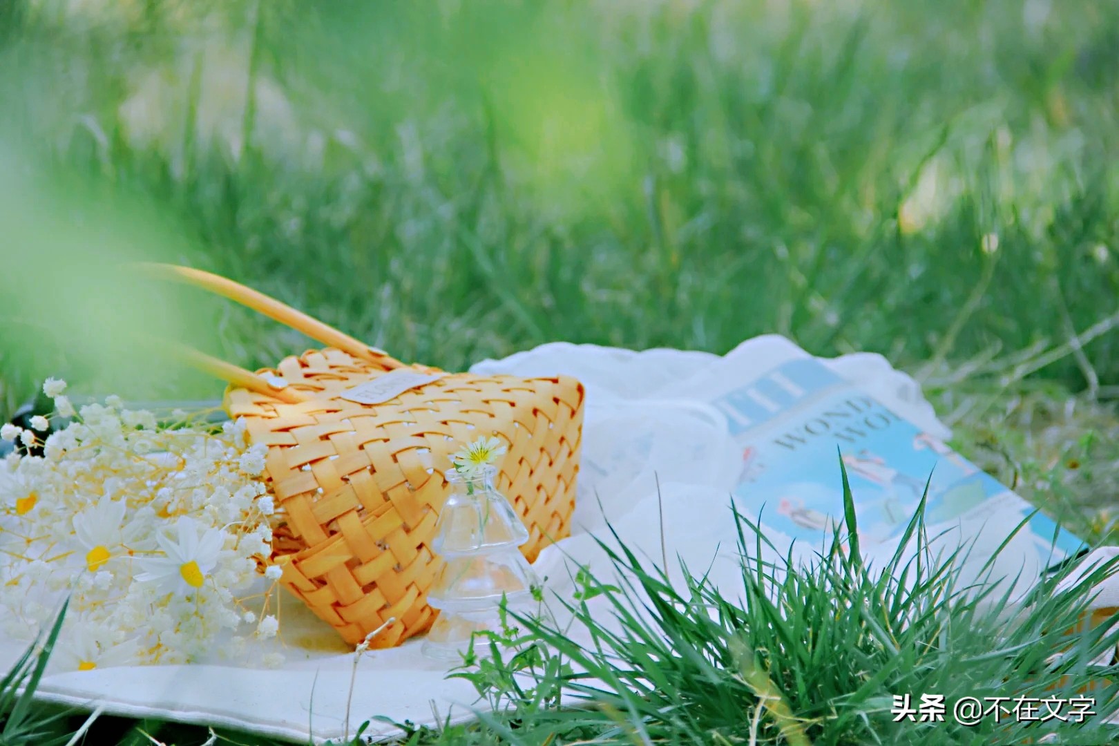 进入夏天的唯美句子