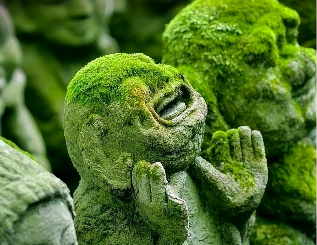 “面善心狠，一看便知”：有这两个特征者，往往面善心狠，要远离