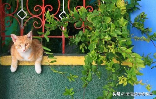 1㎡——2㎡阳台设计图参考！中国家庭真的适合把阳台打造成花园吗