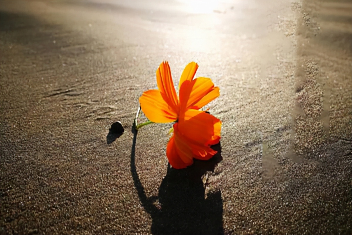 结婚后，老婆总喜欢冷暴力怎么办？6个步骤教你如何正确化解