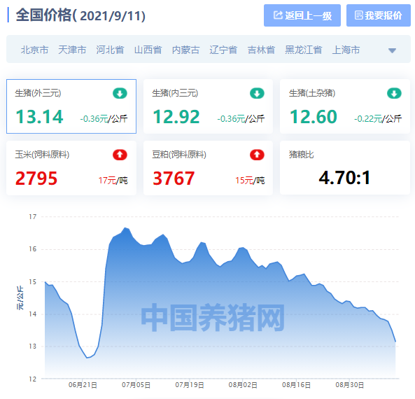 全国生猪价格涨跌表｜2021年9月11日，“白菜价”的猪肉终于来了