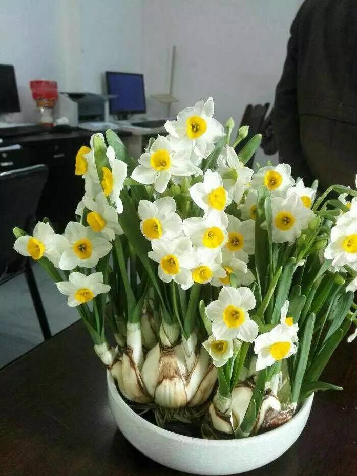 十种“大毒花”,家里经常养,越漂亮毒性越大,避开为好