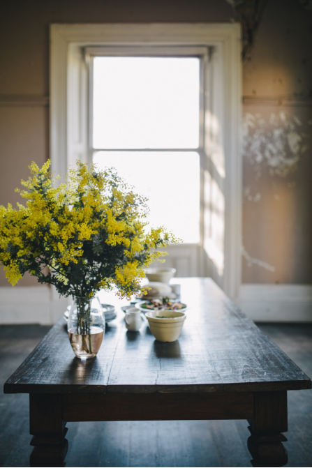  如何快速提升写作能力？别着急，这里有你想要的答案