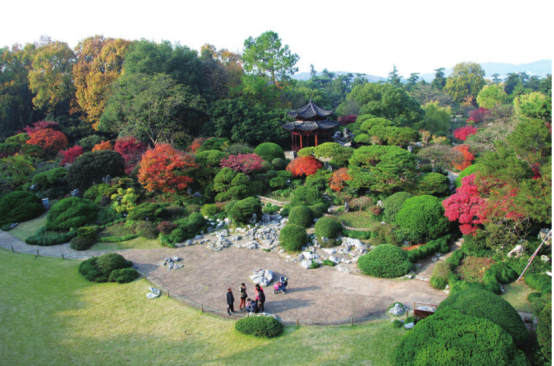 走出15位院士，创造无数第一，排名国内顶尖！这所高校号称全国最高绿色学府！