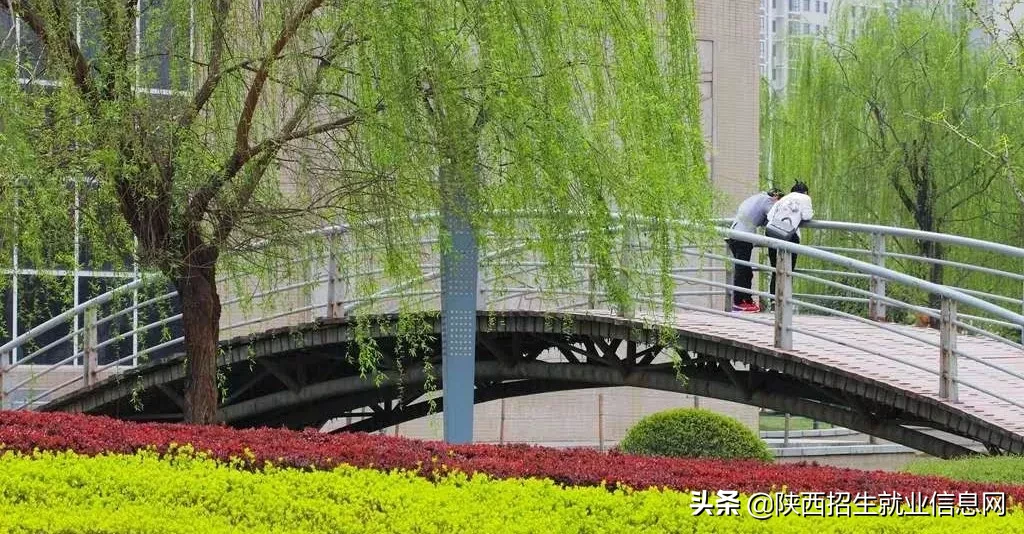 阳光正好丨多维度、高清图，带你一起了解咸阳职业技术学院
