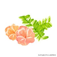 事业单位考哪些科目？怎么考？和公务员考试有区别吗？