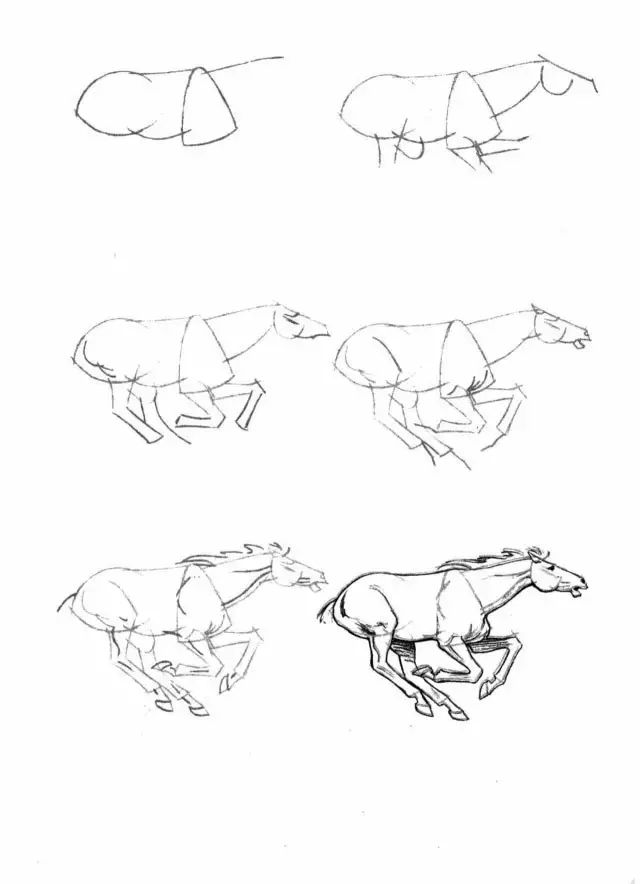 你想学画马吗？分享一些马的简笔画教程，提笔就能画