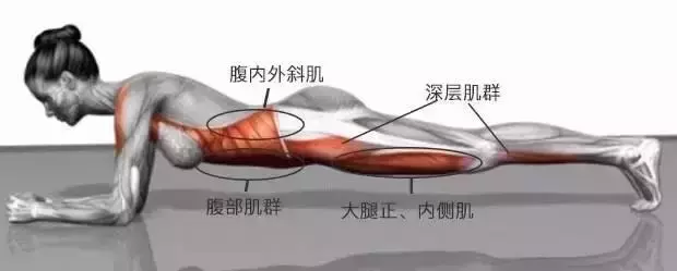 每天坚持1-2分钟平板支撑，一个月后，身体会获得什么好处？