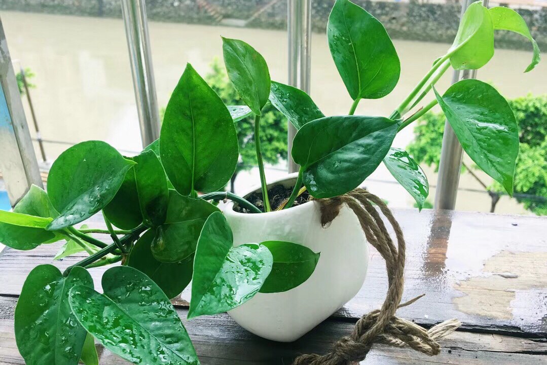 吉林大学“火”了！新建宿舍才交楼，第2天便强制研究生全部搬入