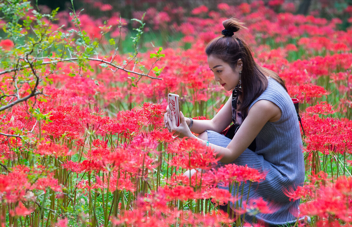 电视剧中常出现的十大“神奇植物”，有的还是人名，看你见过几种