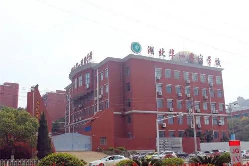 华一寄宿学校怎么样（在湖北华一寄宿学校上学的感受）