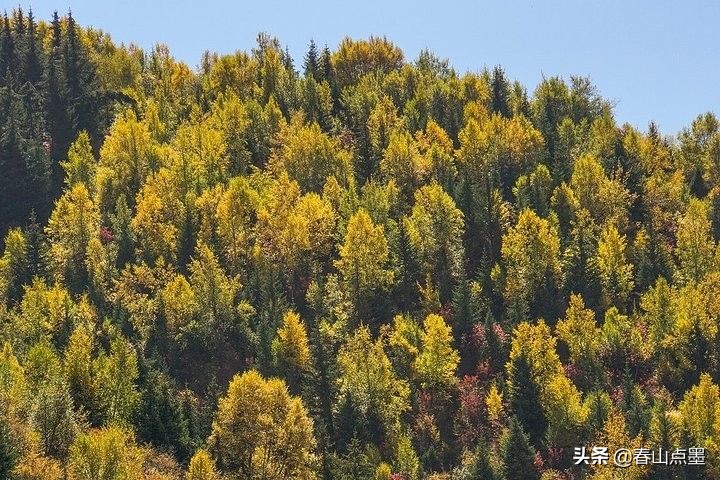 十一小长假去哪儿玩？精选国内8大好去处，完美避开人山人海