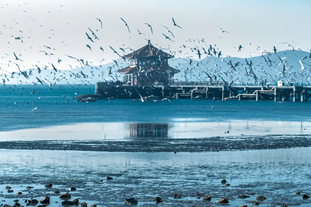赴韩旅游,