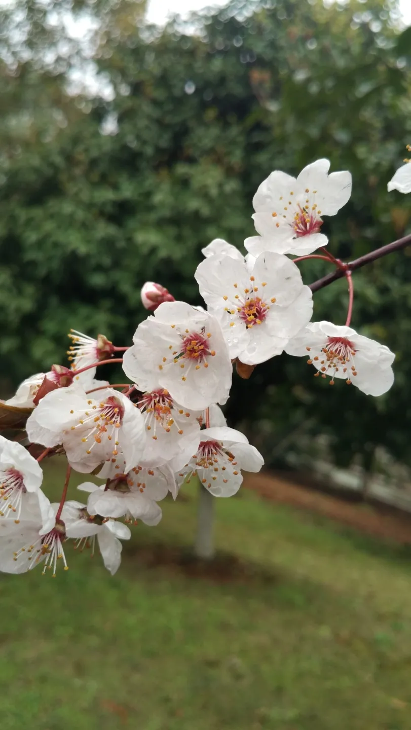 2021年湖南环境生物职业技术学院招生简章（2022参考）