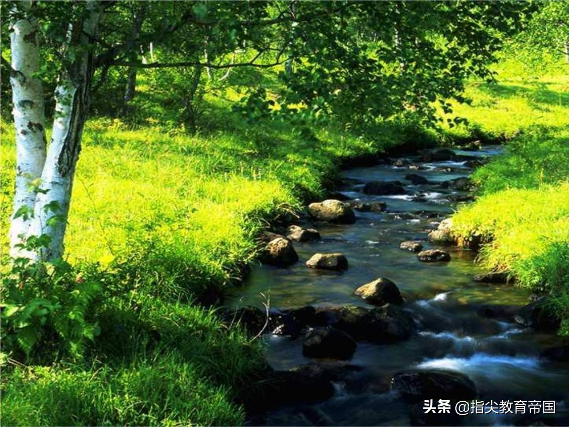 三年级《美丽的小兴安岭》考点太经典，提高阅读能力，先学好这篇