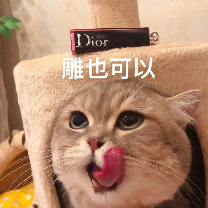 套路老公买口红的猫咪表情包合集