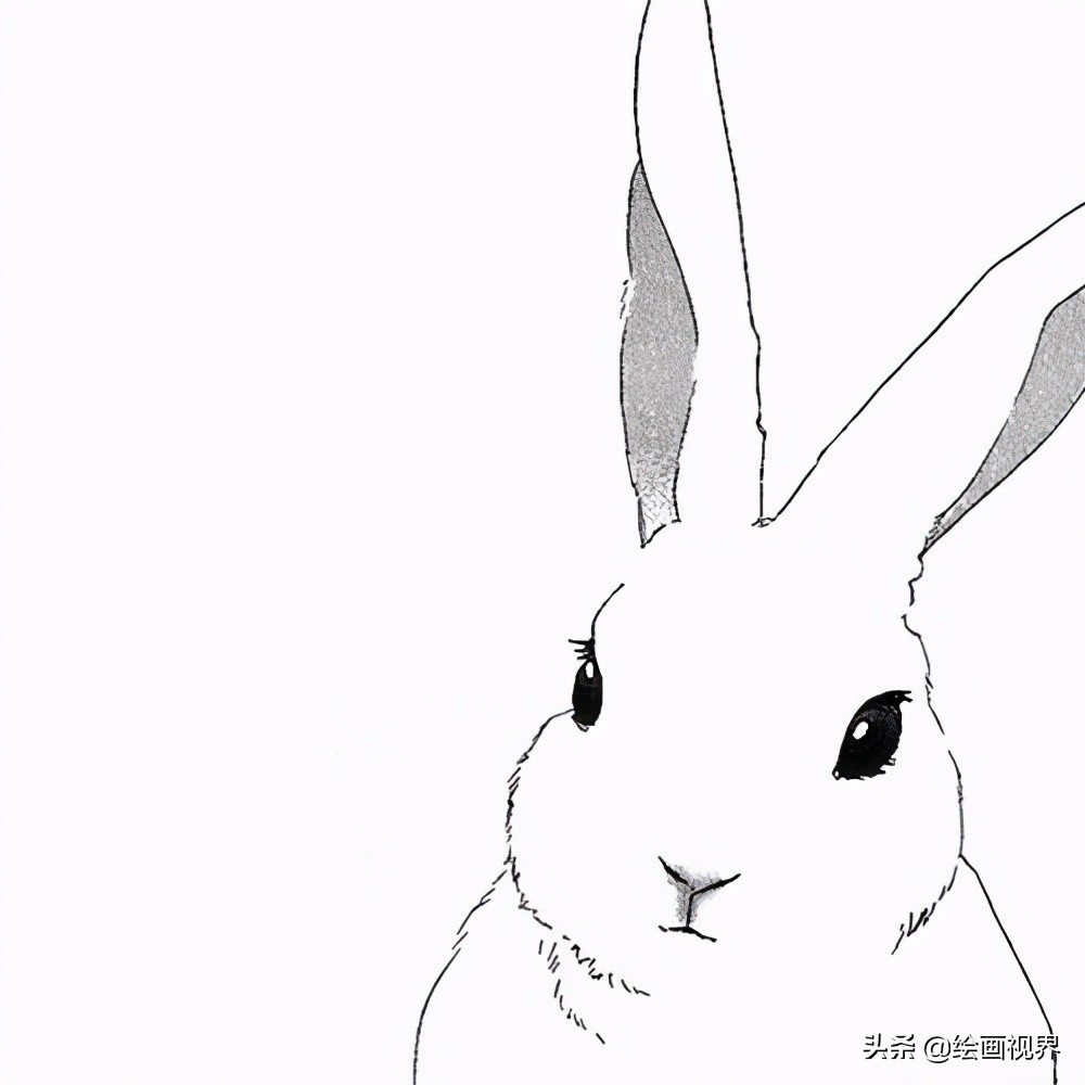 教你画兔子，保证他会喜欢画