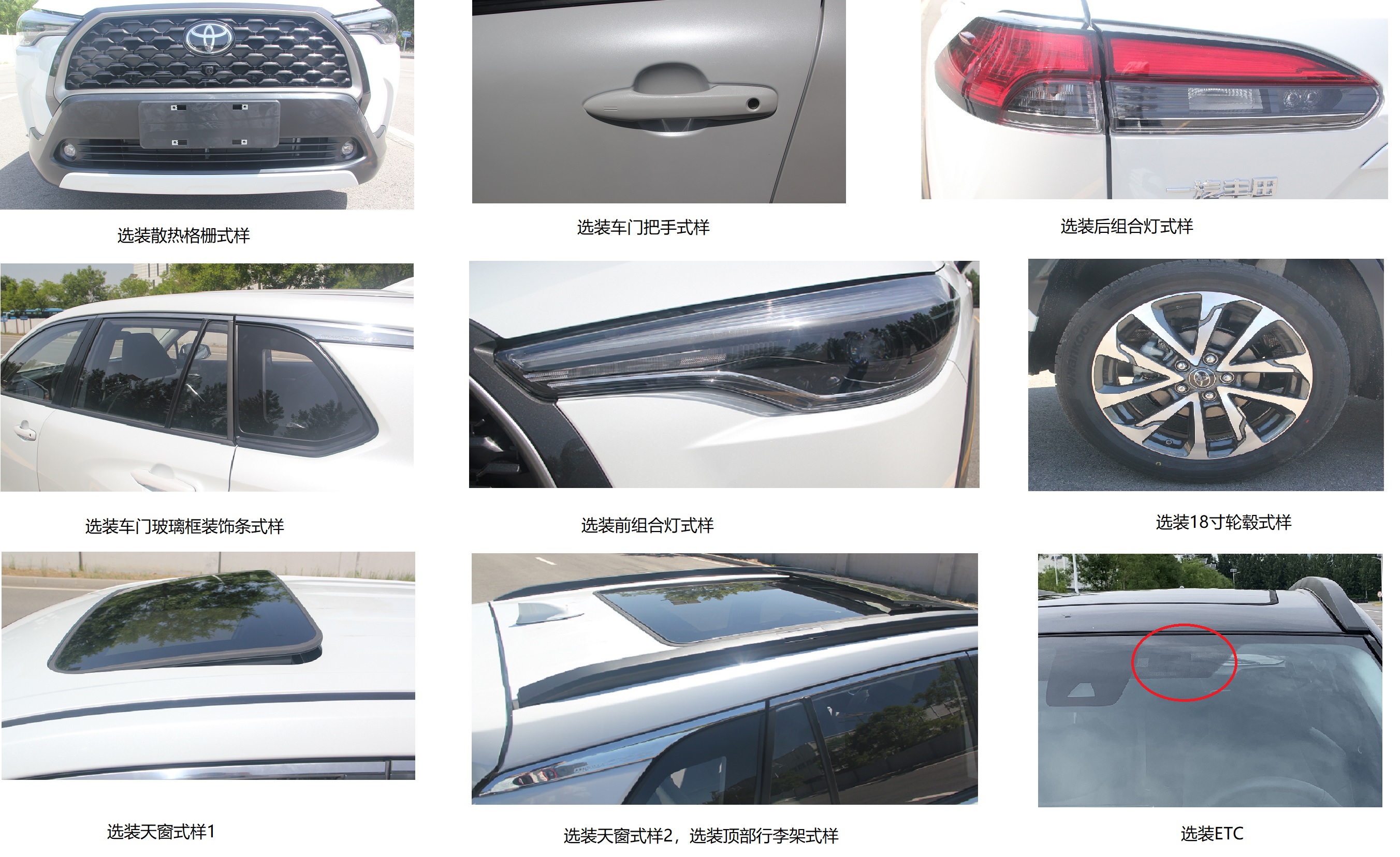 新车｜不仅有国际大牌，还有国货之光，广州车展值得期待品牌盘点