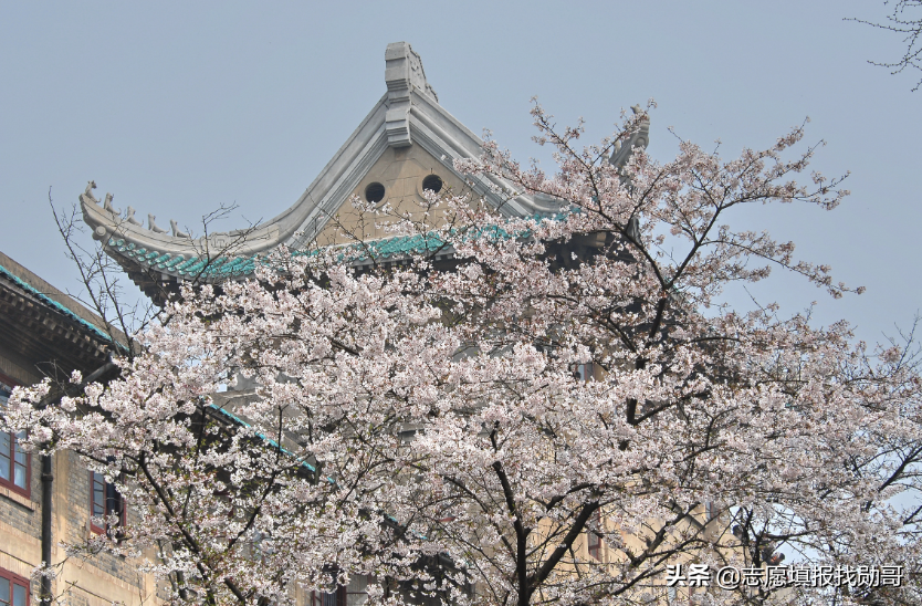 武汉所有大学（武汉大学VS华中科技大学）