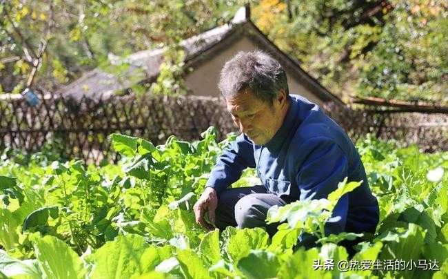 招聘男保姆是真是假（53岁男人）