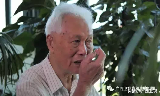 为造地雷浑身是伤，俘虏级别最高国民党将领……他们都是解放广西的英雄