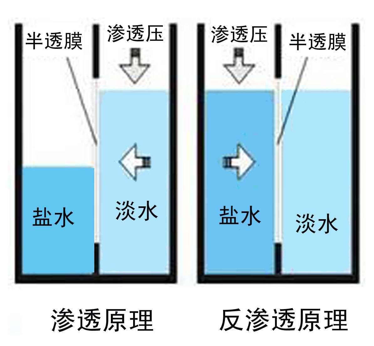 海水淡化处理图片