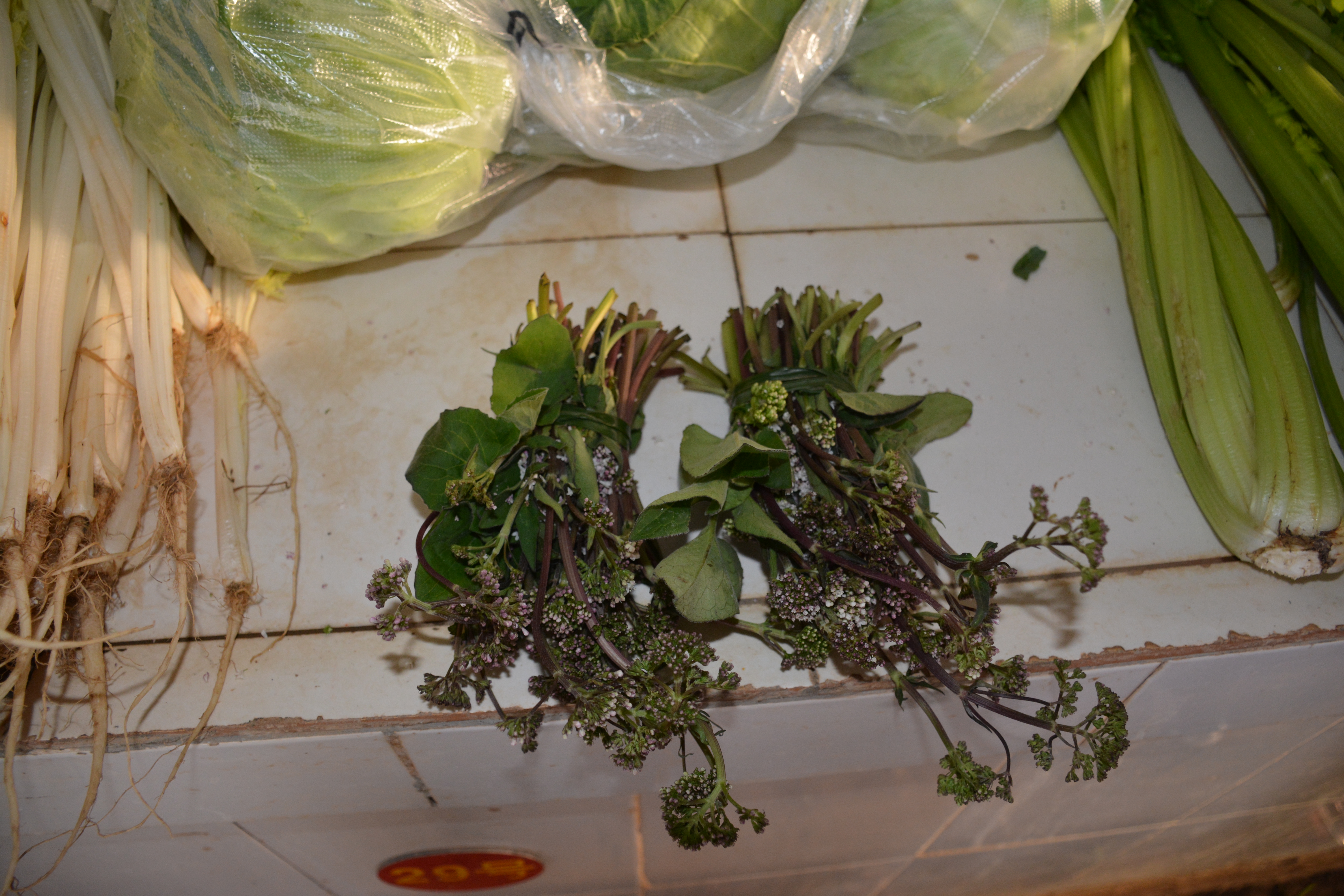 小孩消化不良的良药——鸡屎臭药花