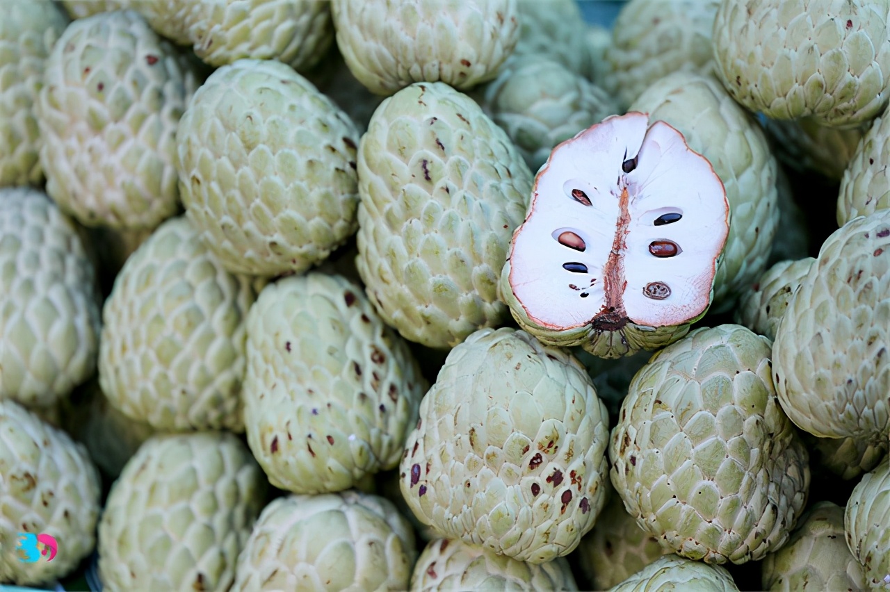 2,做沙拉:番荔枝还可以制成沙拉吃,准备苹果,番荔枝