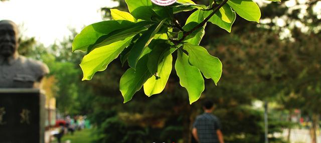 我国最好的政法大学，毕业的学生，大部分都能成为公务员