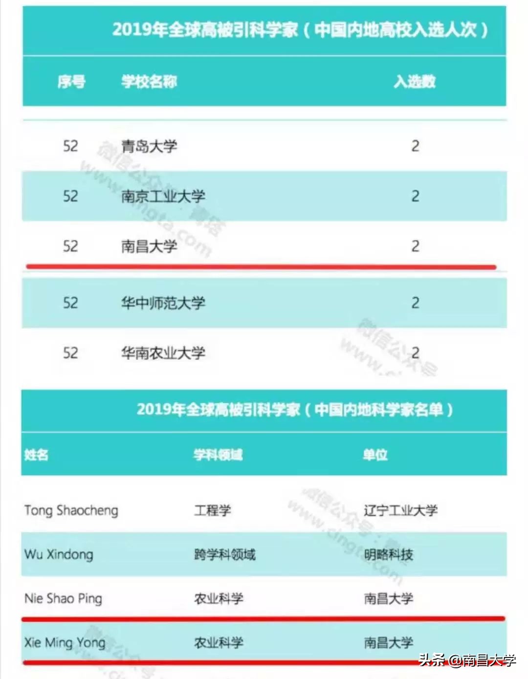 我们的2019 | 走进食品、新传、旅游、理学、软件、护理、儿科医学院和发规处、科技处