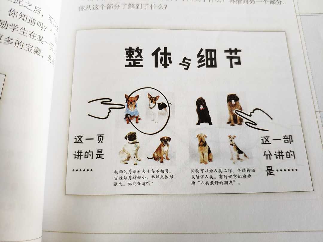 和孩子共读了那么多书，这些阅读指导的“道”与“术”，你清楚吗