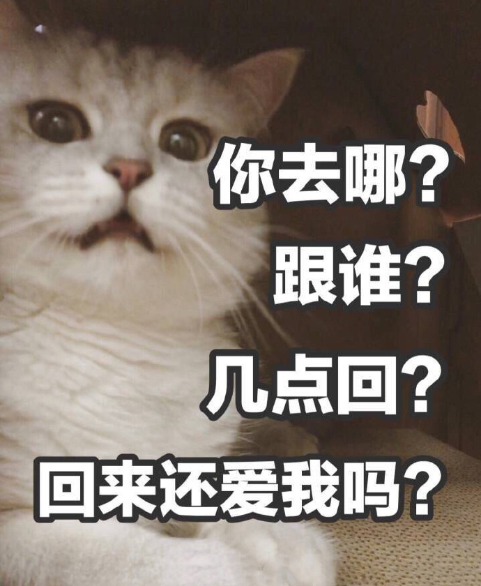 猫咪表情包：今晚那个吗