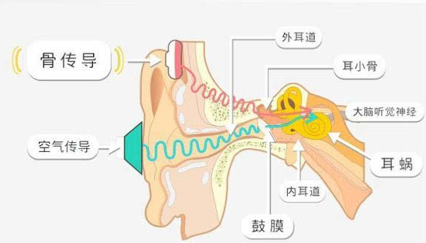 Sanag骨传导耳机：旗舰六升级，运动“耀”出彩