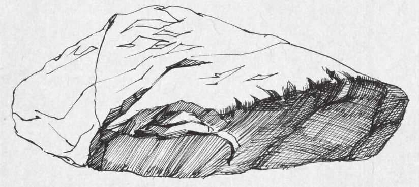 干货！石头绘制技法详解（复杂形体）图解教程，简单易学，快收藏