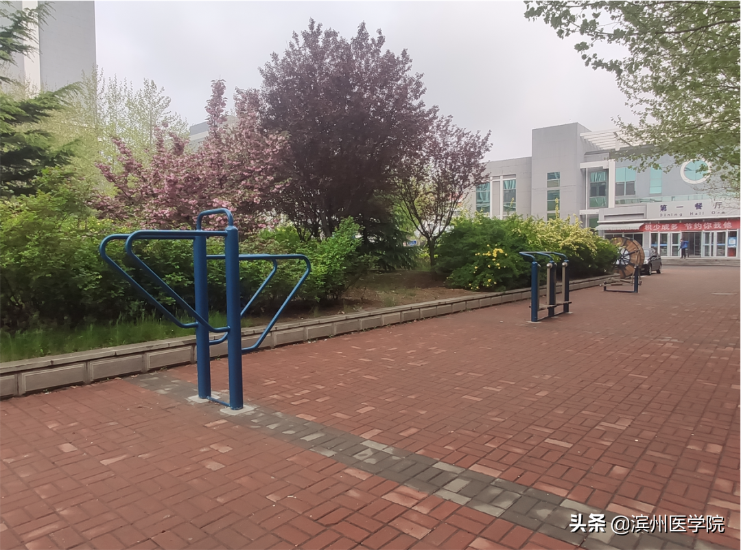 「学党史办实事」困扰学生学习生活的10个问题被攻克啦