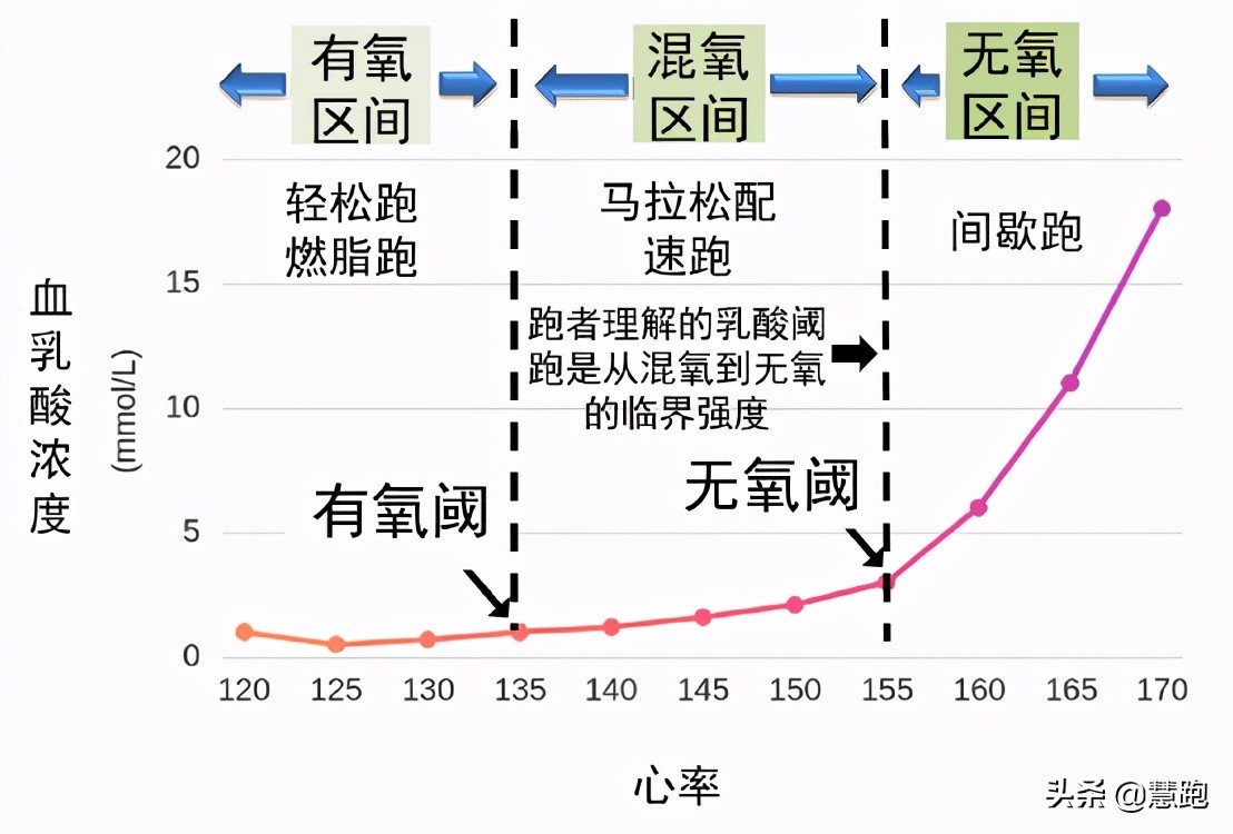 奥运会男子跑步哪些项目(研究分析：顶级中长跑运动员的训练特征以及方法)