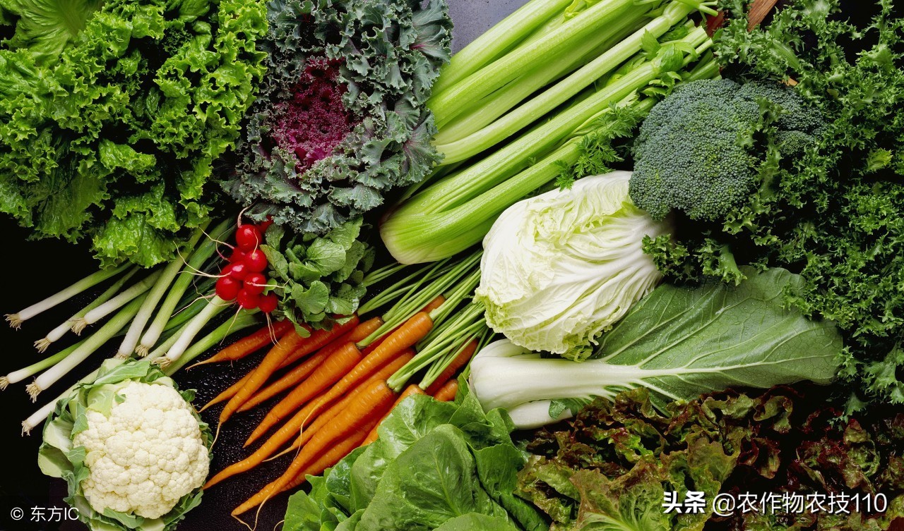 2018年全国蔬菜销量TOP10榜单正式发布，揭晓年度最畅销十大蔬菜品种
