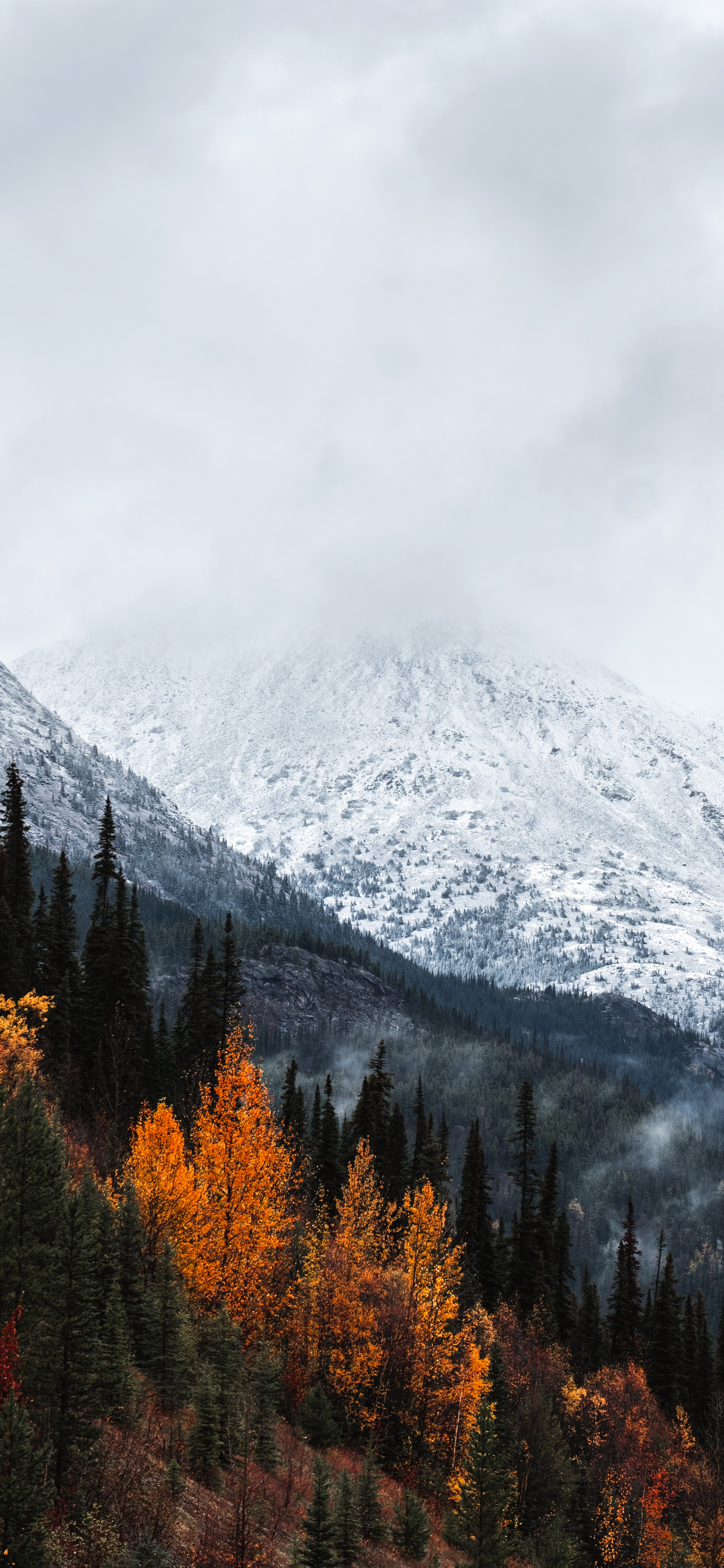 雪山壁纸︱沿途有风景，背后有阳光