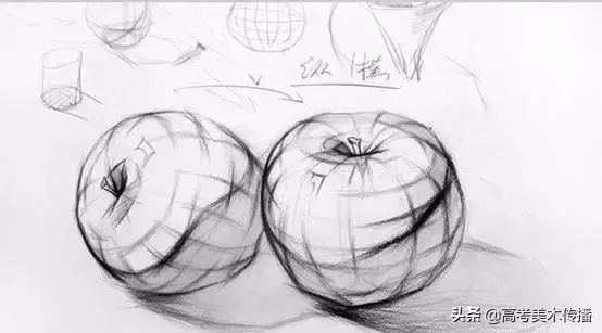 初级入门 I 零基础素描绘画教程