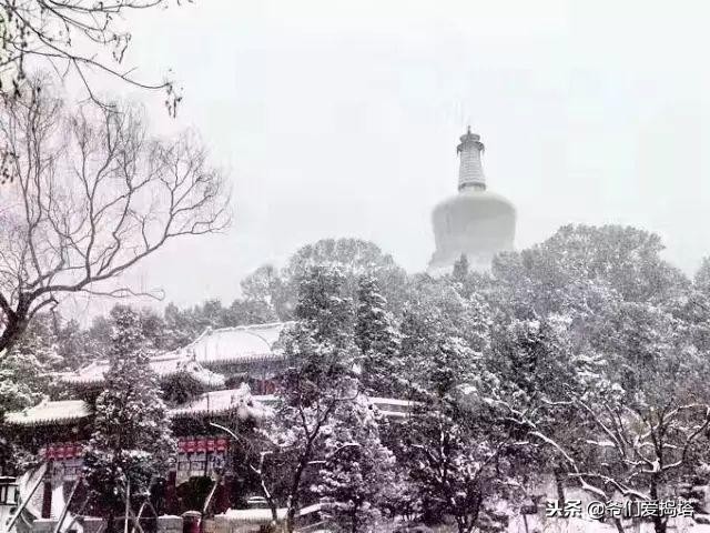 红墙，白雪，琉璃瓦，大雪压青松