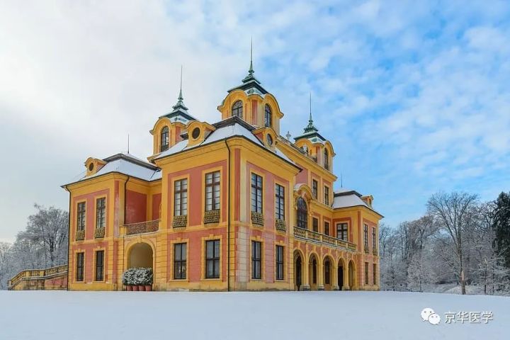 功夫不负有心人，终圆梦德国著名大学