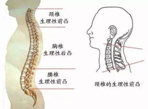 不要再执着于让宝宝睡枕头了，睡错了，对宝宝身体发育没啥好处