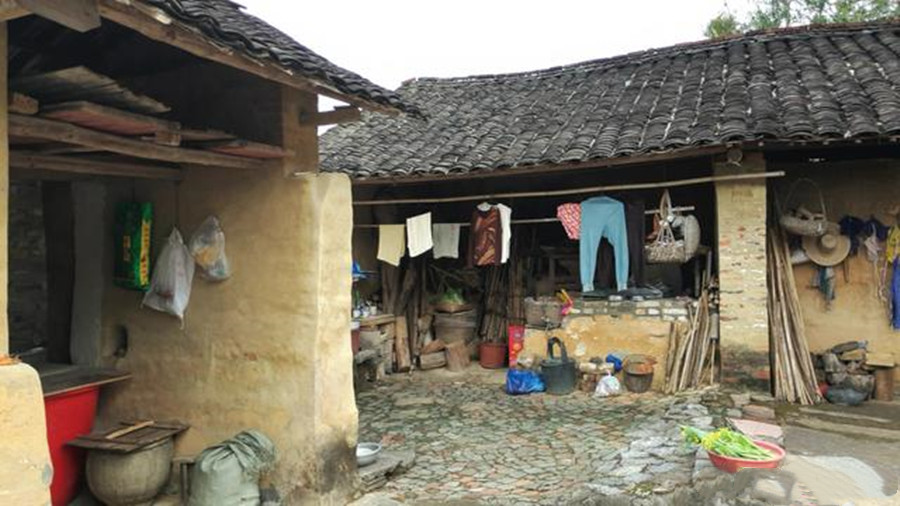 黑龙江一女子与蛇同居15年，家中大蛇就有20条，蛇不会攻击她吗？