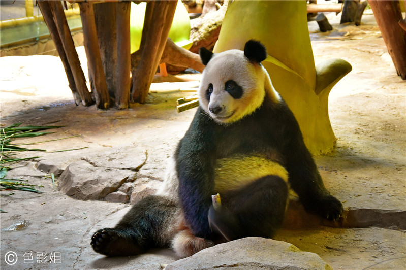 三天三夜欢乐长隆之旅（附攻略）