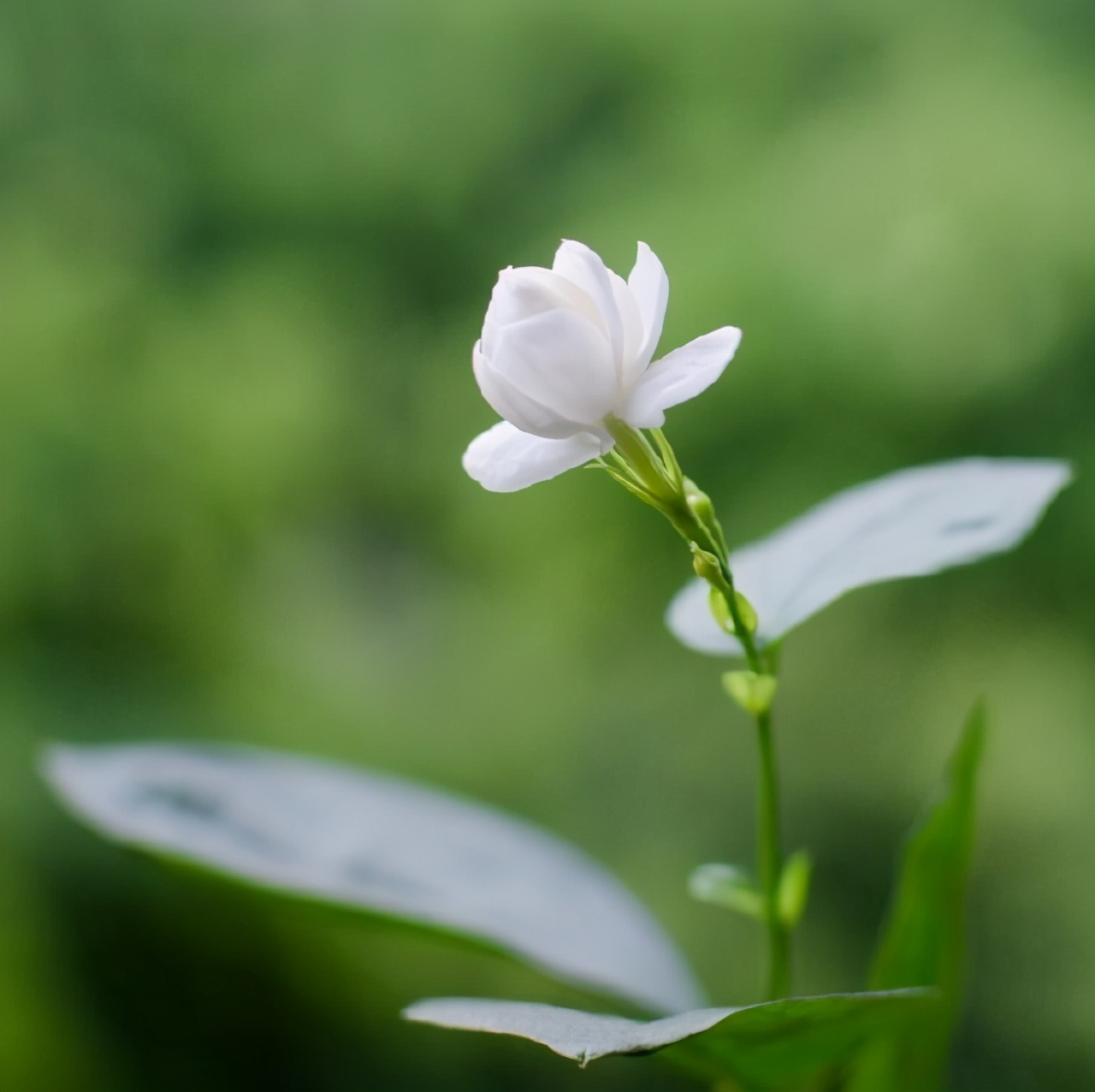 适合沉淀心灵的句子，经典通透，让人感慨良深