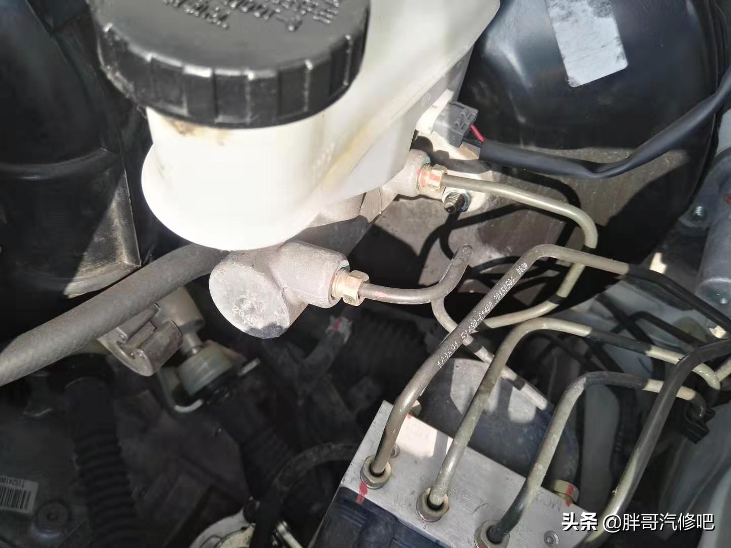 胖哥推荐铃木血统二手车，大空间、高配置、还省油